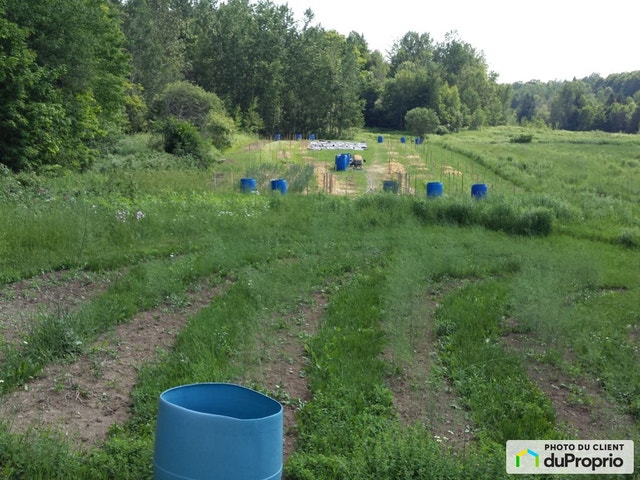 $695,000 - Acreage / Hobby Farm / Ranch for sale in St-Norbert — photo 2