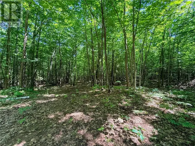514C East Road Mindemoya, Manitoulin Island, Ontario in Land for Sale in Sudbury - Image 29