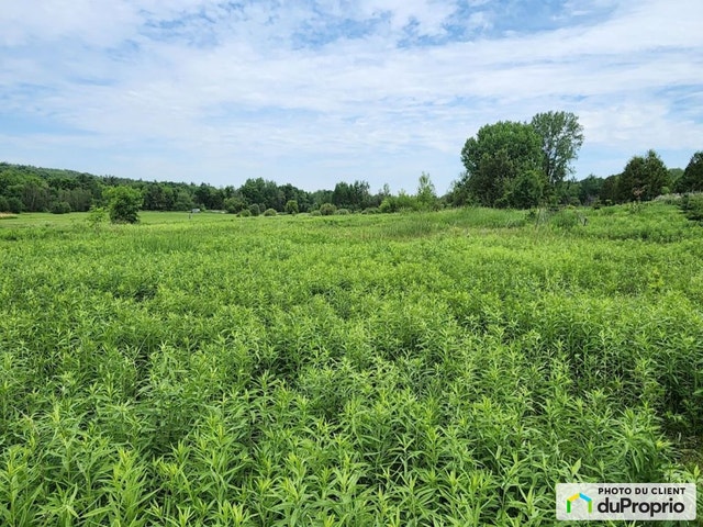 $569,000 - Residential Lot for sale in Rigaud — photo 3