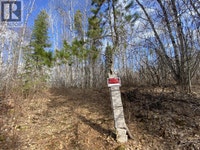 LOT 26 CHAPPEL ROAD Hazelton, British Columbia Smithers Skeena-Bulkley Area Preview