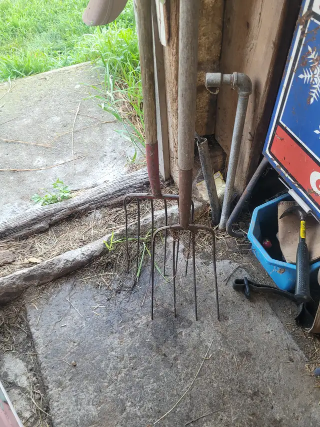 2 pitch forks in Other in Belleville - Image 3