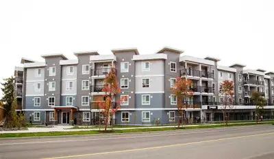 Pet-Friendly One Bedroom One Bath with In-suite Laundry for Rent