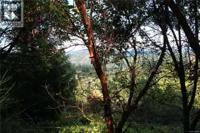 Discover an exquisite 5.29-acre paradise with ocean, city, mountain, and valley views. With no build...