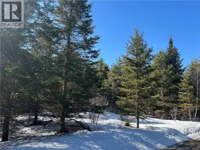 This (+/-) 136 acre property is located on Route 860 in Salt Springs and only a 20 minute drive to H...