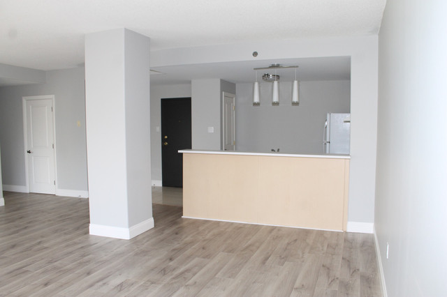 SPACIOUS 1 BEDROOM ON FABULOUS PUBLIC GARDENS in Long Term Rentals in City of Halifax - Image 3