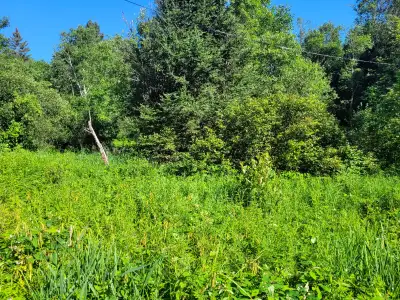 4.6 ACRES BUILDING LOT ON YEAR-ROUND ROAD. SURVEYED. HYDRO AT PROPERTY. CLEARED AREA TO BUILD DREAM...