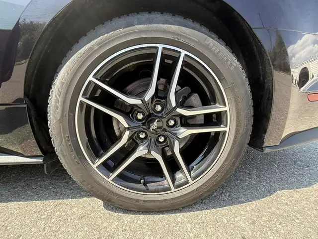 2023 Ford Mustang EcoBoost Premium Fastback for sale in Cars & Trucks in Mississauga / Peel Region - Image 21