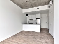 Studio 2.5 2 1/2 Condo appartement à louer-logement locatif-apartment rental for rent Plateau-Mont-R... (image 3)
