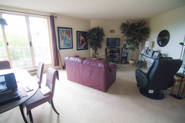 Bunting/Carlton 1 Bedroom for Rent in North St. Catharines! in Long Term Rentals in St. Catharines - Image 3