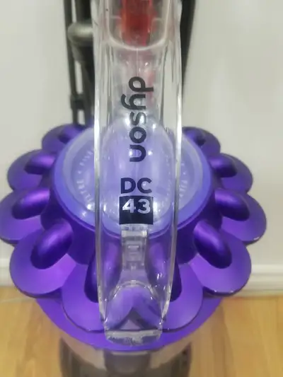 Dyson DC43 Animal Upright Vacuum Mint Clean $275, View more