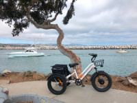 Fat Tire Meigi Zeus Electric Trike Free Shipping One Year Warran