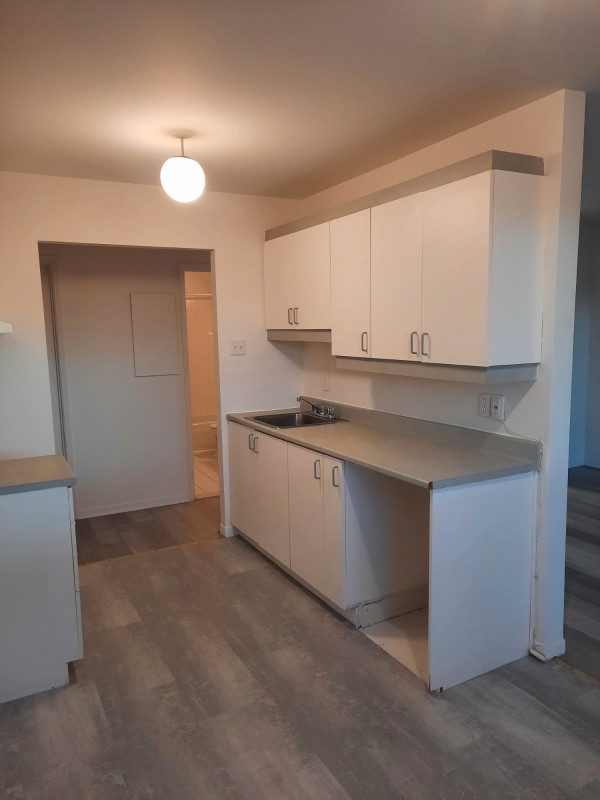 Repentigny 3 1/2  1095,00 $ - 4 1/2 -à partir  1250 $ Juillet - dans Locations longue durée  à Laval/Rive Nord - Image 4