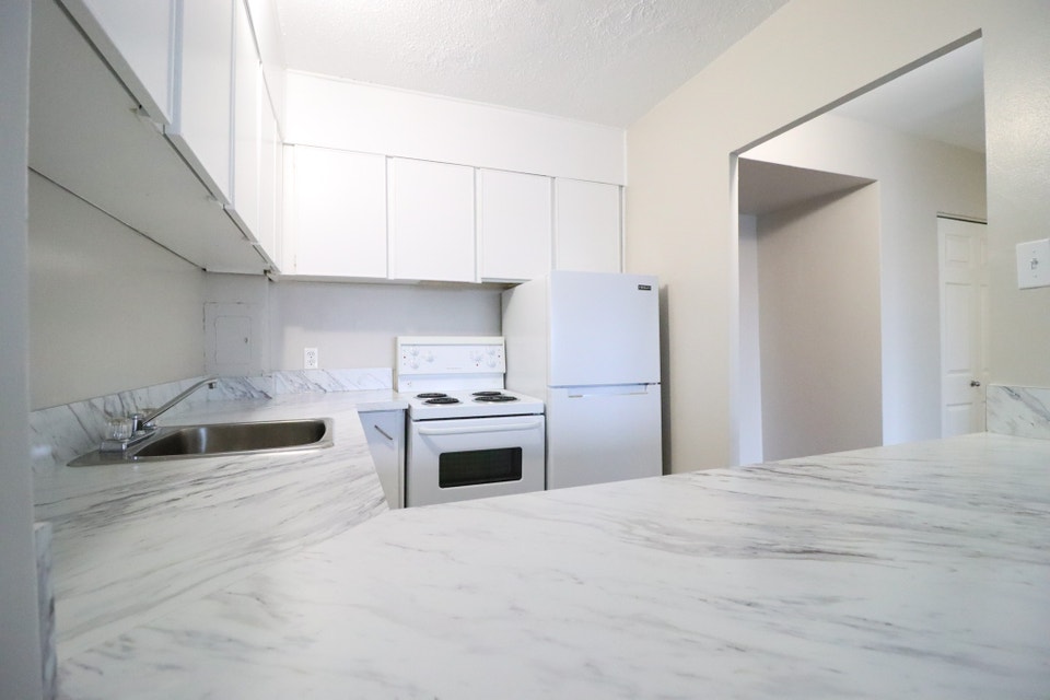 ONE MONTH FREE!!   1 Bedroom Centretown -  Elgin/Bank/Downtown 4