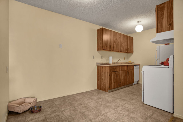 2 Bedroom Apartment Call 306-314-0155 in Long Term Rentals in Prince Albert - Image 3