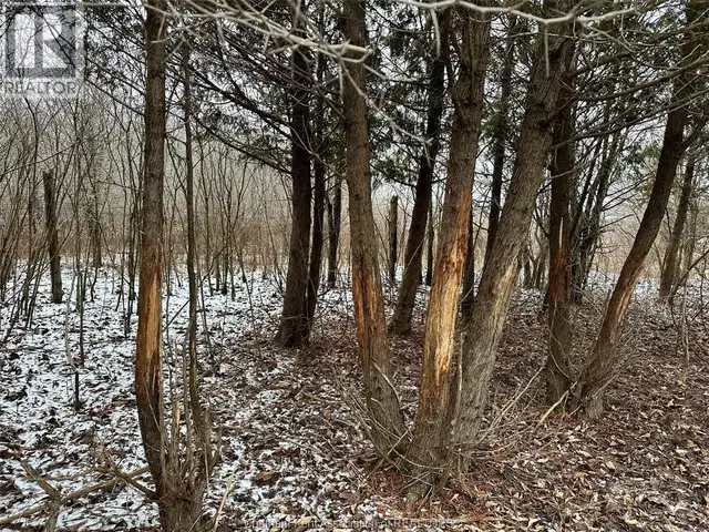 0 OAKDALE ROAD Dawn-Euphemia, Ontario in Land for Sale in Chatham-Kent - Image 29