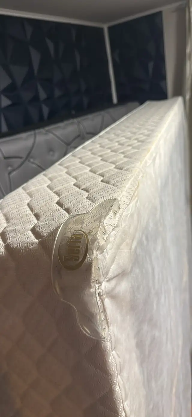 Queen size bed frame and Serta box spring for sale63284907004545122