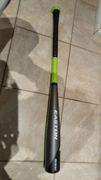 Easton S500 FP14S500 Fastpitch Softball Bat  (- 3) , 31 inch  28