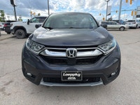 2017 Honda CR-V EX-L AWD – Leather • Sunroof • Honda Reliability! Looking for a dependable, fuel-eff... (image 7)