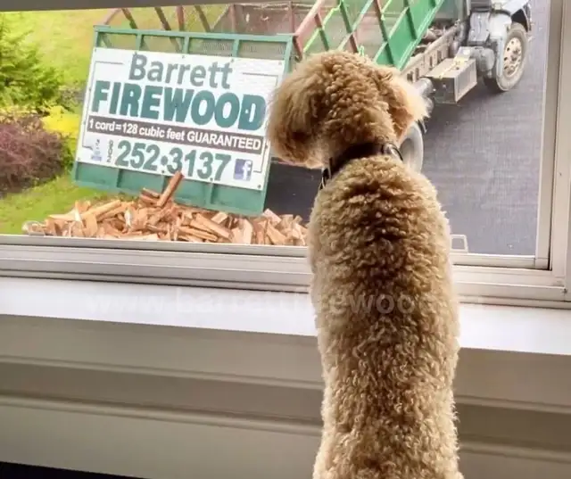 DELIVERY/PICK UP HARDWOOD FIREWOOD