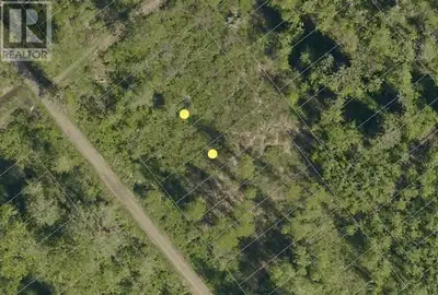 Great holding property on the undeveloped section of Broadway Avenue. Currently zoned LDR-1. 25' x 1...