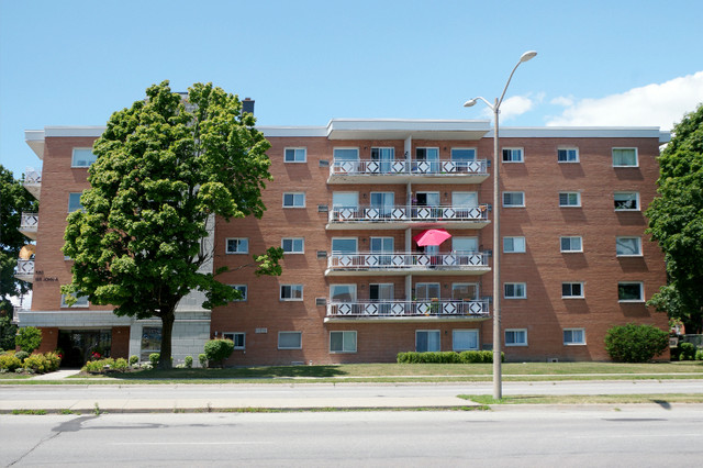 2 Bedroom Apartment Available for Rent in Long Term Rentals in Kingston - Image 2