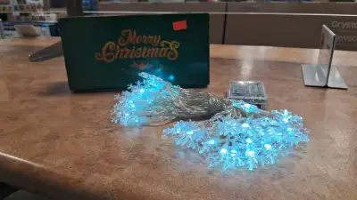 MERRY CHRISTMAS LIGHTS Techvision Electronics 1261 Kennedy Road. Unit 4 Scarborough M1P 2L4 416-551-...