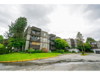 413 13501 96 AVENUE Surrey, British Columbia