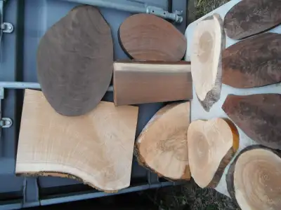 Hobby, Instrument, and Turning Wood, View more
