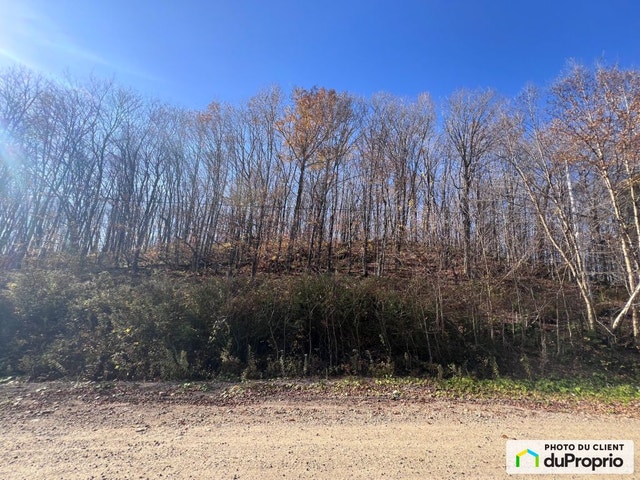 $65,000 - Residential Lot for sale in Lac-des-Plages — photo 2