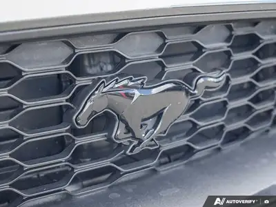 2020 Ford Mustang CV, View more