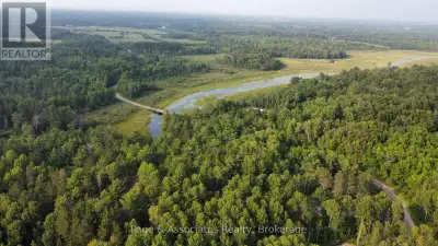 195 Duck Creek Road (Lavigne) - Here's an opportunity to own 10 acres of beautiful land that backs o...