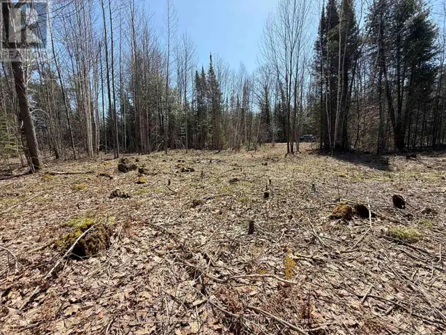 00 GARDEN OF EDEN ROAD Horton, Ontario62864748966914124