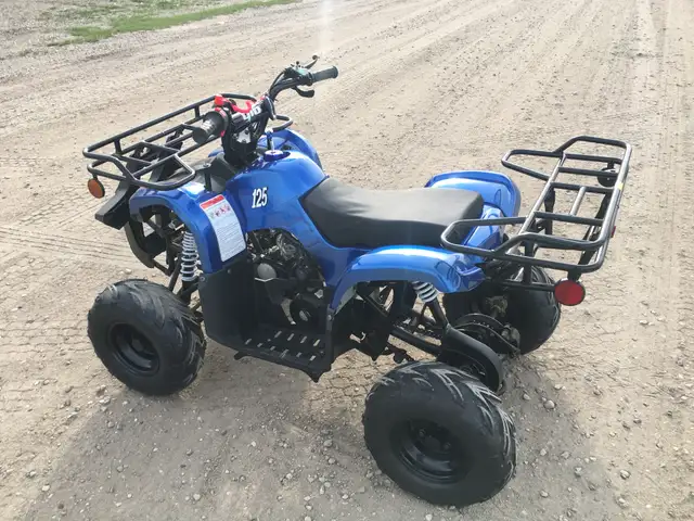 2025 BRAND NEW GIO BLAZER 125 ATV / QUAD / in ATVs in Brandon - Image 18