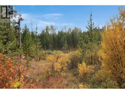 Come live in the Cariboo. Life is better here. This 5.20 acre lot is level and has some fencing alon...