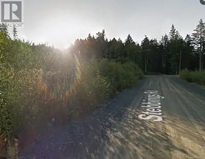 5 Acres of Prime Land – Development Potential Near Shawnigan Lake A stunning 5-acre parcel with endl...