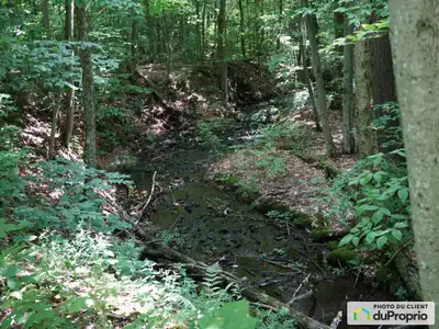 Traduction automatique Terrain exceptionnel à vendre au Domaine Lakefield avec accès à 3 lacs privés...