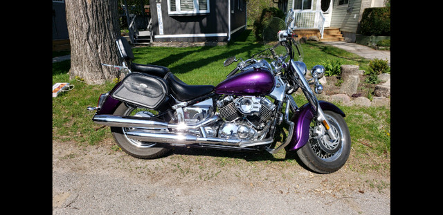 2006 Yamaha V-Star 650 with 20,500kms. in Street, Cruisers & Choppers in Barrie