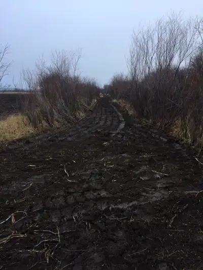 Custom Mulching Land clearing, View more