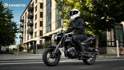 PAPIO CL NEBULA WHITE MSRP $3799 PAPIO CL NEBULA BLACK MSRP $3799 ??WE SHIP EVERYWHERE ~ EASY FINANC...