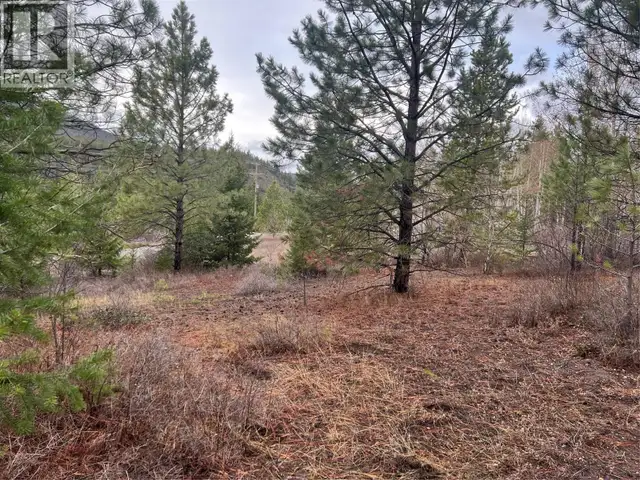 2457 COLDWATER Road Unit# Lot 9 Merritt, British Columbia in Land for Sale in Vernon - Image 12
