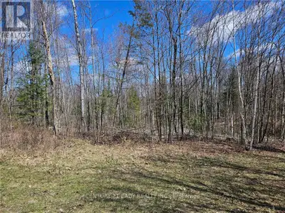 Have you been searching for a tranquil country lot to build your dream home? This picturesque treed...