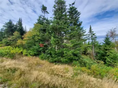 This is 1.045 acres of wooded land on Main Road between Bellevue and Bellevue Beach. You can carve y...