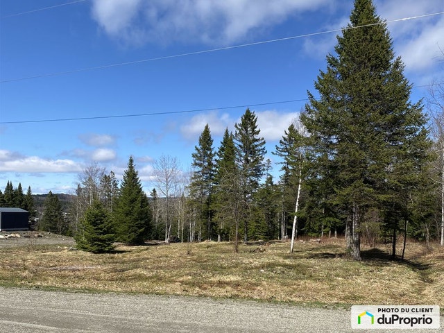 $115,000 - Residential Lot for sale in Lac-Etchemin — photo 2