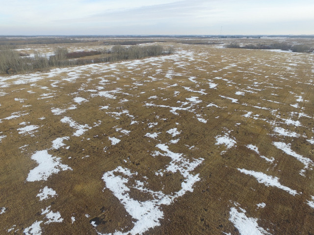 75 Acres of Farm Land, Available in a Timed Online Auction in Land for Sale in Strathcona County - Image 4