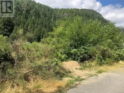 This lot is zoned for mobile home, manufactured home or a tiny house! The services are to the lot an...