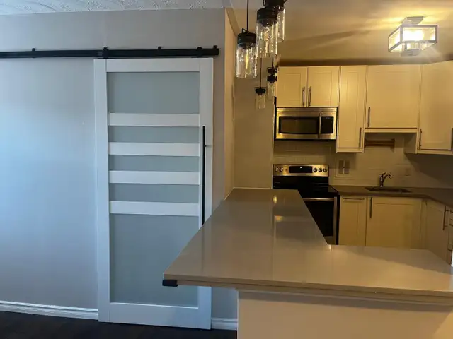 FULLY RENOVATED 1 BEDROOM APARTMENT FOR RENT | HAMILTON63417674685825123