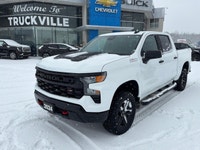 Trail Boss, Low Km's, 5.3L, Dark Essentials Pkg, Black Assist Steps, Tow Pkg W/Trailer Brake Control... (image 4)