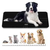 Pet Scale, Digital C... BNIB LOT# 9380 City of Toronto Toronto (GTA) Preview