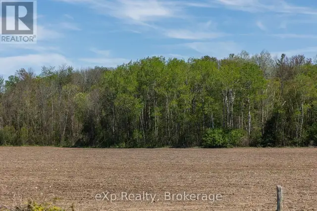 5716 COUNTY ROAD 9 Clearview, Ontario in Land for Sale in Oakville / Halton Region - Image 7