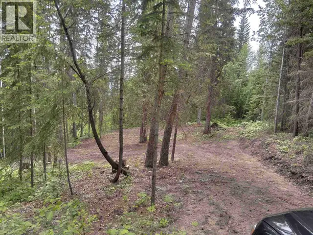 LOT A CANIM-HENDRIX LAKE ROAD Canim Lake, British Columbia in Land for Sale in 100 Mile House - Image 27